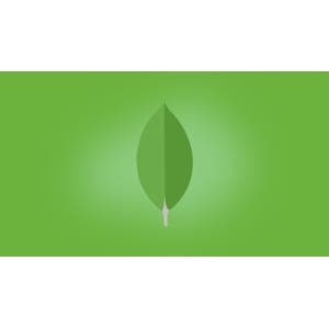 AmigosCode – MongoDB