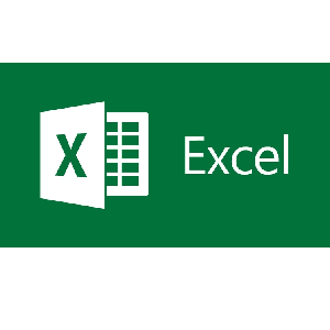 Learn Microsoft Excel : From Zero to Hero