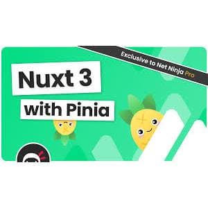 Net Ninja – Nuxt 3 With Pinia