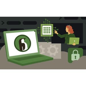 Advanced Linux: The Linux Kernel