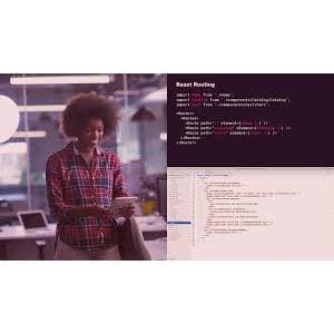 Using the App Router in Next.js 14