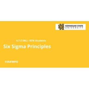 Six Sigma Principles