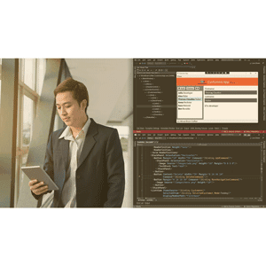 WPF 6 Fundamentals