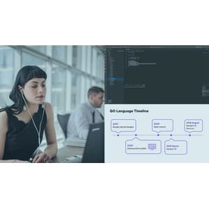 Managing Go Projects