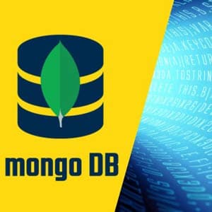 MongoDB – The Complete Dev BootCamp | Beginner-Expert (2024)