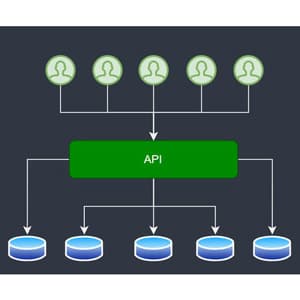 Advanced .NET Web API: Multi-Tenant Applications(OLD COURSE)