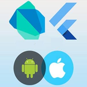 Flutter & Dart : The complete beginners guide