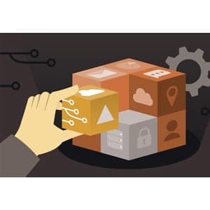 Building High-Throughput Data Microservices