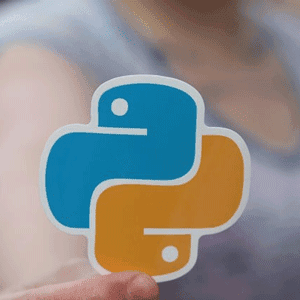 100 Days of Python Programming Challenge