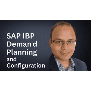 Advanced Course on SAP IBP (Integrated Business Planning)